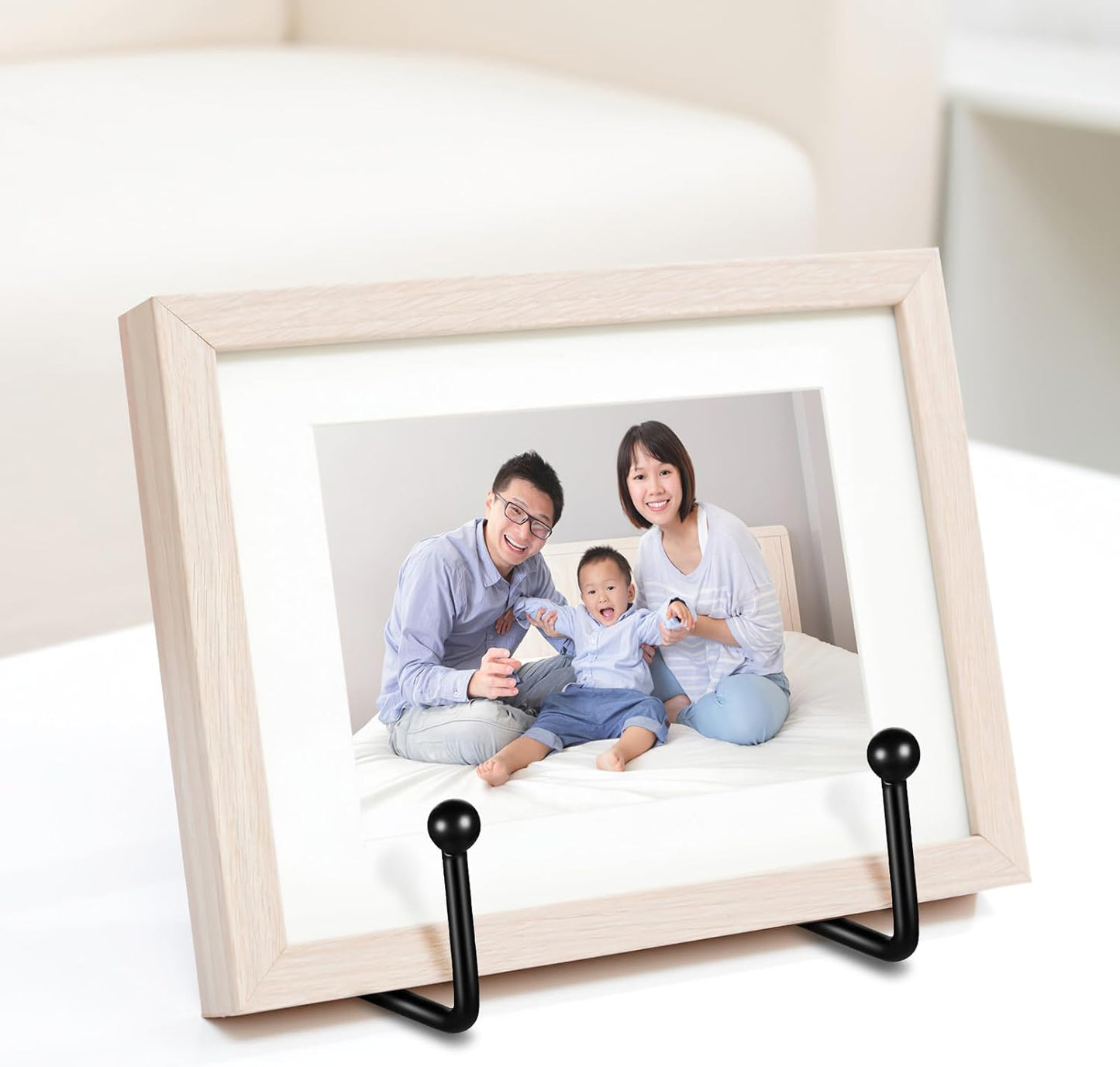 FAVOMOTO 4 Pcs Metal Plate Display Stands Plate Holder Photo Rack Dish Holder for Tabletop Art Books Showcase