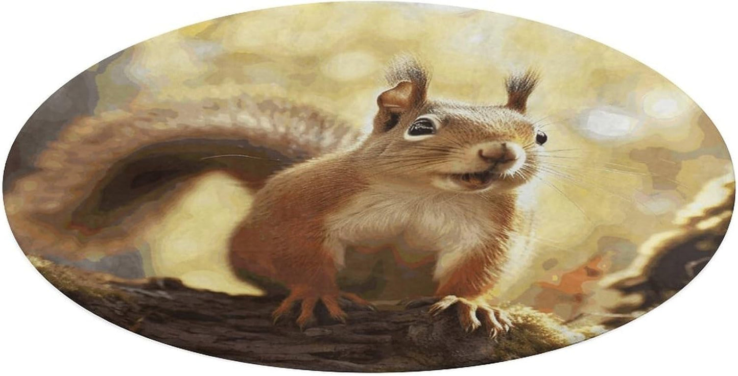 Funny Squirrel Circle Rug Retro Luxury Coral Velvet Floor Mat Non Slip Soft Indoor Floor Carpet Comfy Thickened Area Rugs Modern Aesthetic Minimalist Carpets for Home Decor