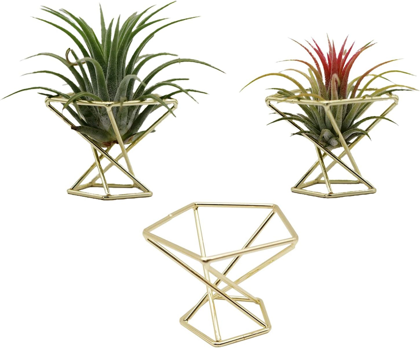 Geometric Air Plant Holder Airplants Rack Metal Plants Stand Planter Shelves Himmeli Living Decor Tillandsia Pot Containers (Gold 3pcs)