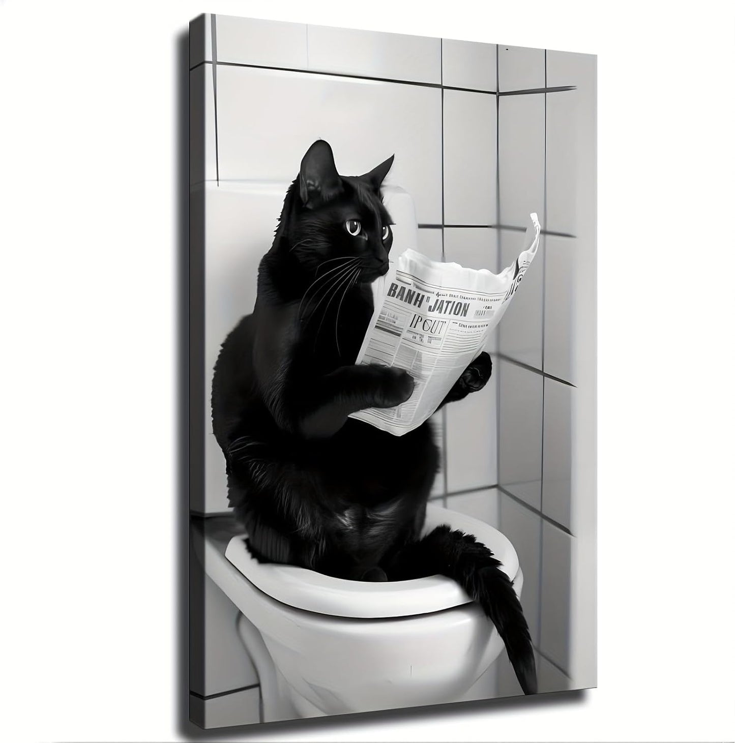 Black Cat Reading Newspaper Animal Funny Toilet Canvas Wall Prints poster Modern Home Aesthetic Decor Wall art for Bedroom Dorm (20x30inch Framed)