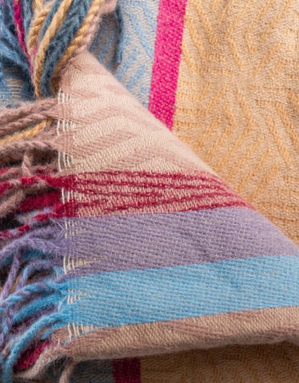The Chosen Multi-Colored Blanket – Disciples Tunic Inspired Throw | 12-Color Design Symbolizing The Twelve | Soft Cozy Blanket | 50x72 Polyester Throw