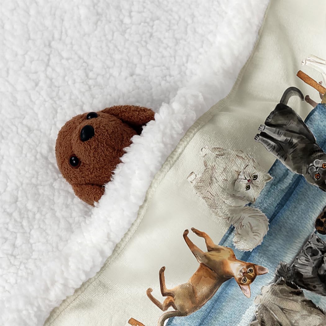 SXCHEN Sherpa Fleece Blanket Throw for Couch Bed Warm Soft Comfy Heavy Thick Fluffy Blankets for Winter Throws with Cute Kitten Cats Selfie Print Gifts for Cat Lovers,60 x 80 inches