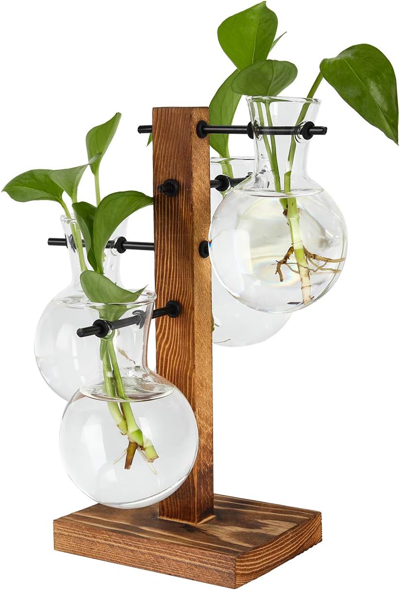 PAG Planter Terrariums Kit Desktop Hydroponics Air Plant Holder with 4 Bulb Beaker Glass Vase and Solid Wood Stand, Home Office Decoration Gardening Gift for Women