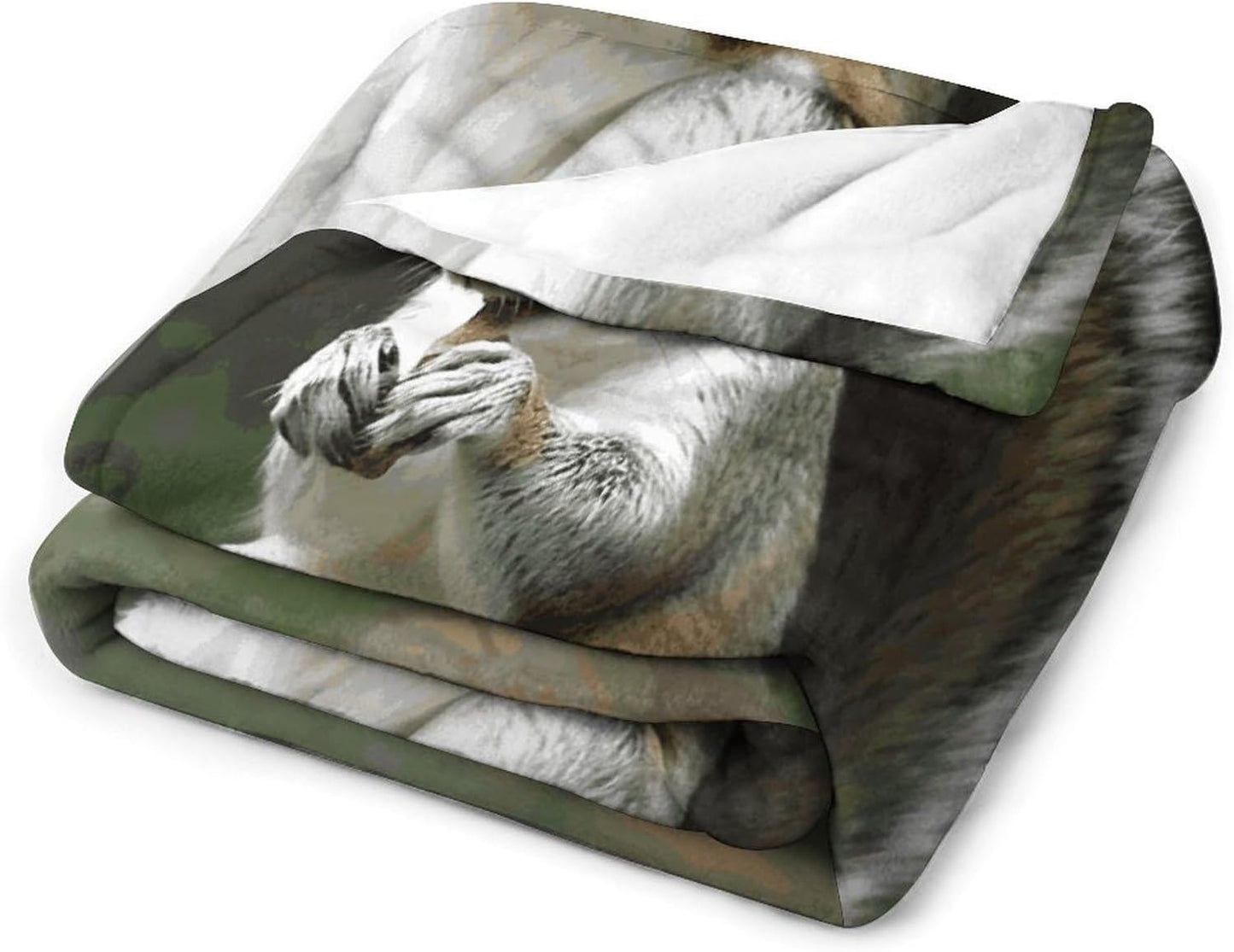 Squirrel Blanket Super Soft Lightweight Throw Blanket Cute Cozy Warm Bed Blanket Decorative Fuzzy Blanket All-Season Home Decor Gift for Sofa Couch Living Room 40"*50" （100 * 130cm）