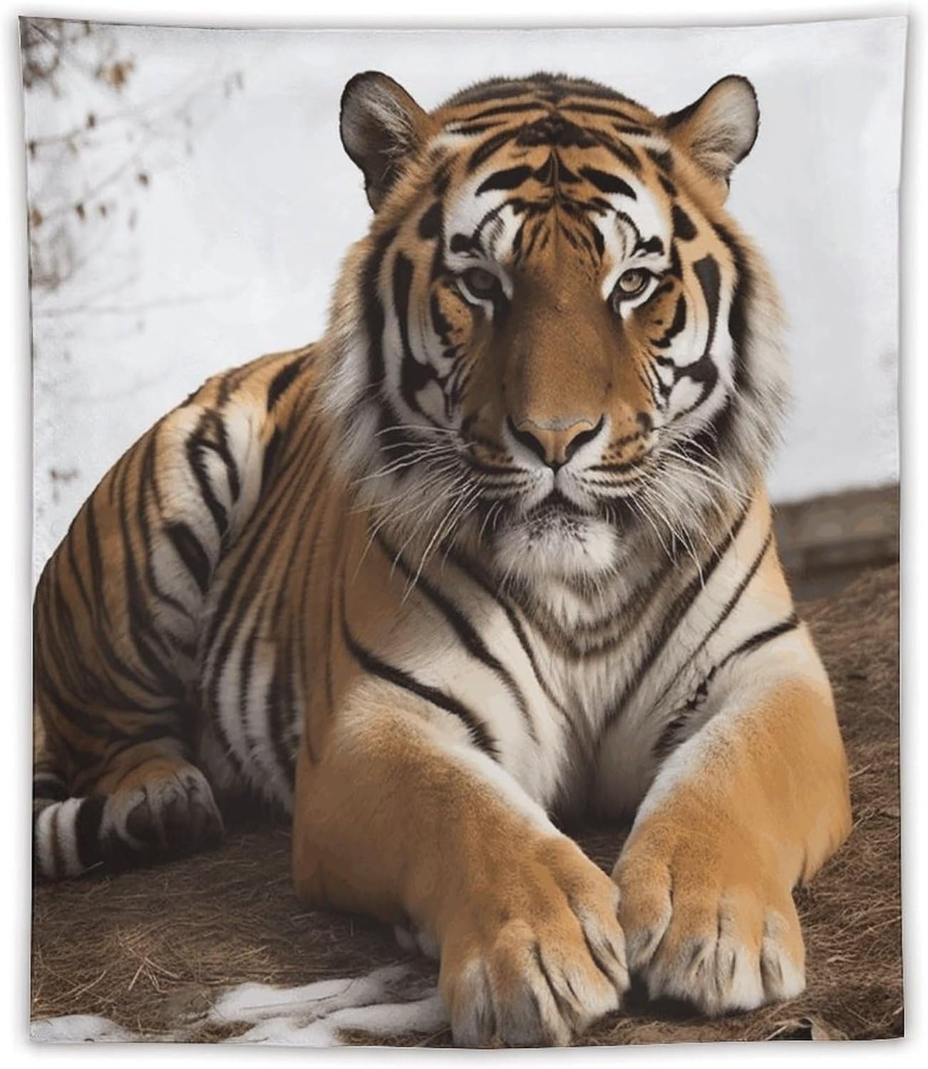 FodPand Big Tiger Tapestry Anti-fading Wall Tapestry with Installation Kit Backdrop Banner Multipurpose Aesthetic Tapestries Boho Wall Art Hanging Decorative Blanket 50"x60"