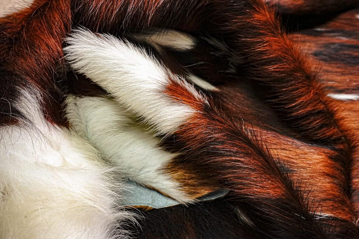 bonanza leathers Genuine Cowhide Rug Classic Tricolor Size S/L/XL 5X6/6X7/7X8 FT (XL)