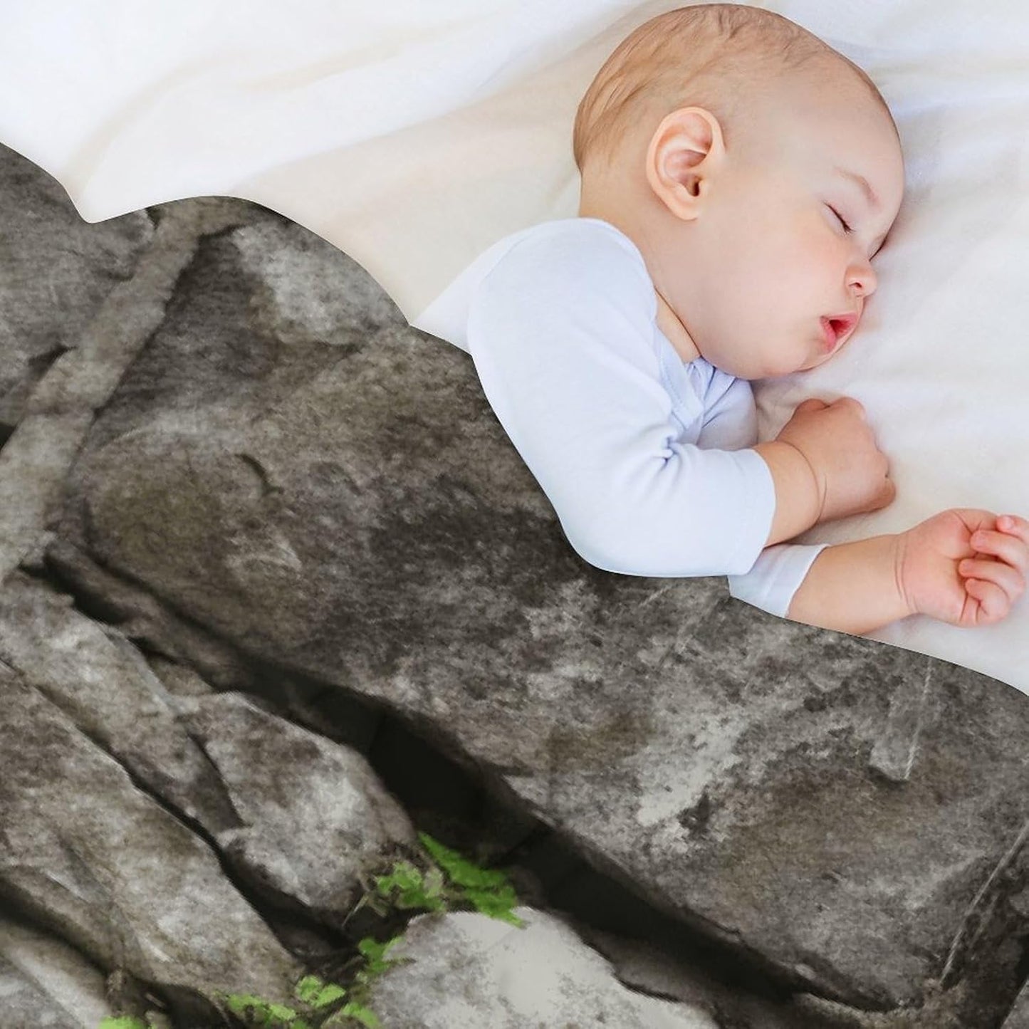Plant on Stone Wall Blanket Super Soft Lightweight Throw Blanket Cute Cozy Warm Bed Blanket Decorative Fuzzy Blanket All-Season Home Decor Gift for Sofa Couch Living Room 60"*80"（150 * 200cm）