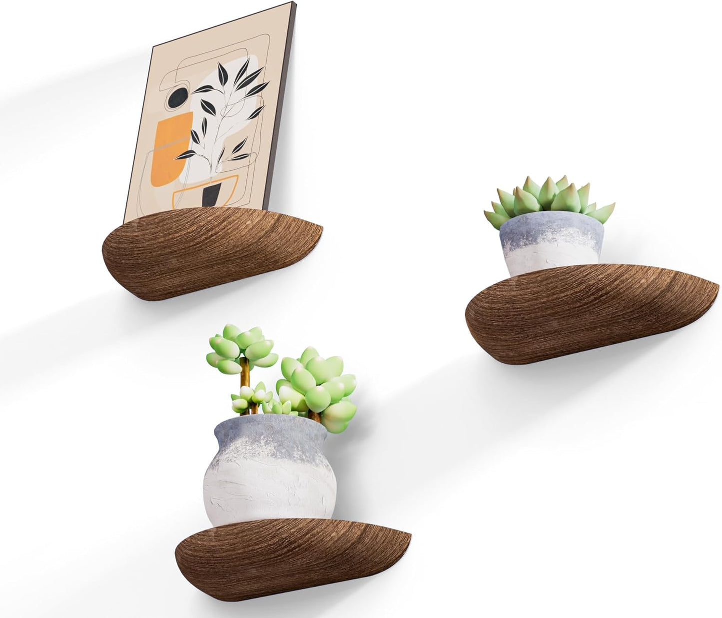 Solid Wood Half Round Rustic Floating Shelves, Natural Wood Wall Shelves, Elevate Your Space. Perfect for Living Rooms, Bathrooms, Bedrooms, Offices, Children's Rooms,Pictures Plants Books