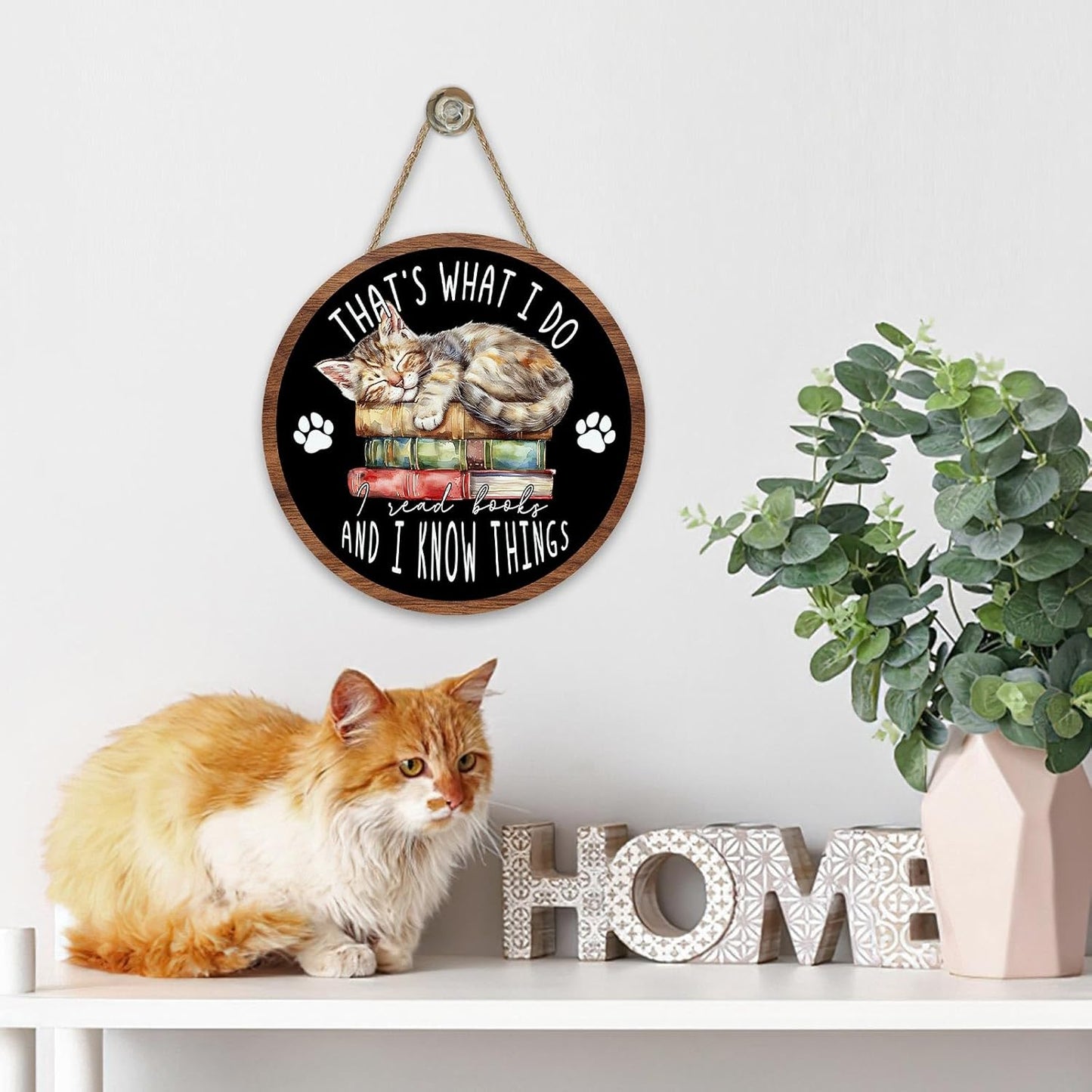 Reading Corner Cat Front Door Sign, Inspirational That's What I Do I Read Books And I Know Things Wood Plaque Hanger, School Classroom Library Wooden Wreath Wall Hanging Decor Book Lovers Gift