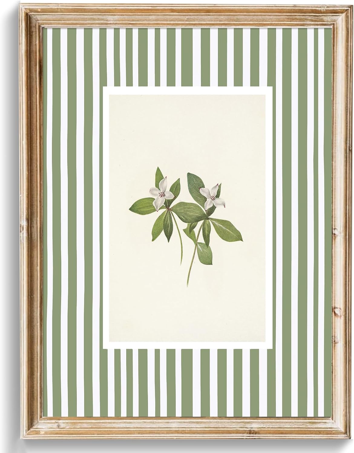 uniro Vintage Botanical Wall Art Prints, Vintage Floral Canvas Art Prints Painting, Pastel Green Stripe Flower Print for Cottage Wall Decor, Bedroom, Desktop Decor - (8" x 10"-UNFRAMED)