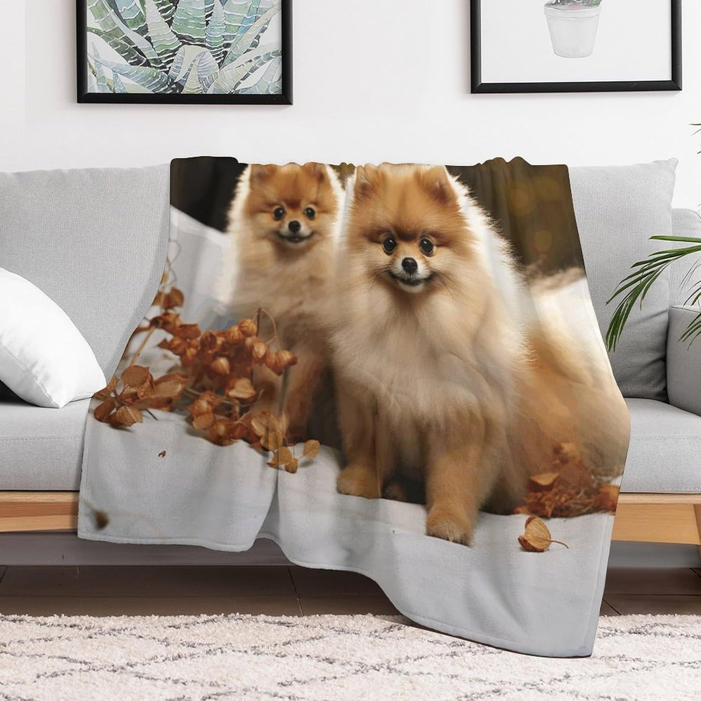 Cute Pomeranian Throw Blanket for Couch Super Soft Warm Lightweight Throw Blankets Cozy Flannel Bed Blanket Cute Decorative Blankets for All Seasons Home Decor Gift 50"*60"（130 * 150cm）