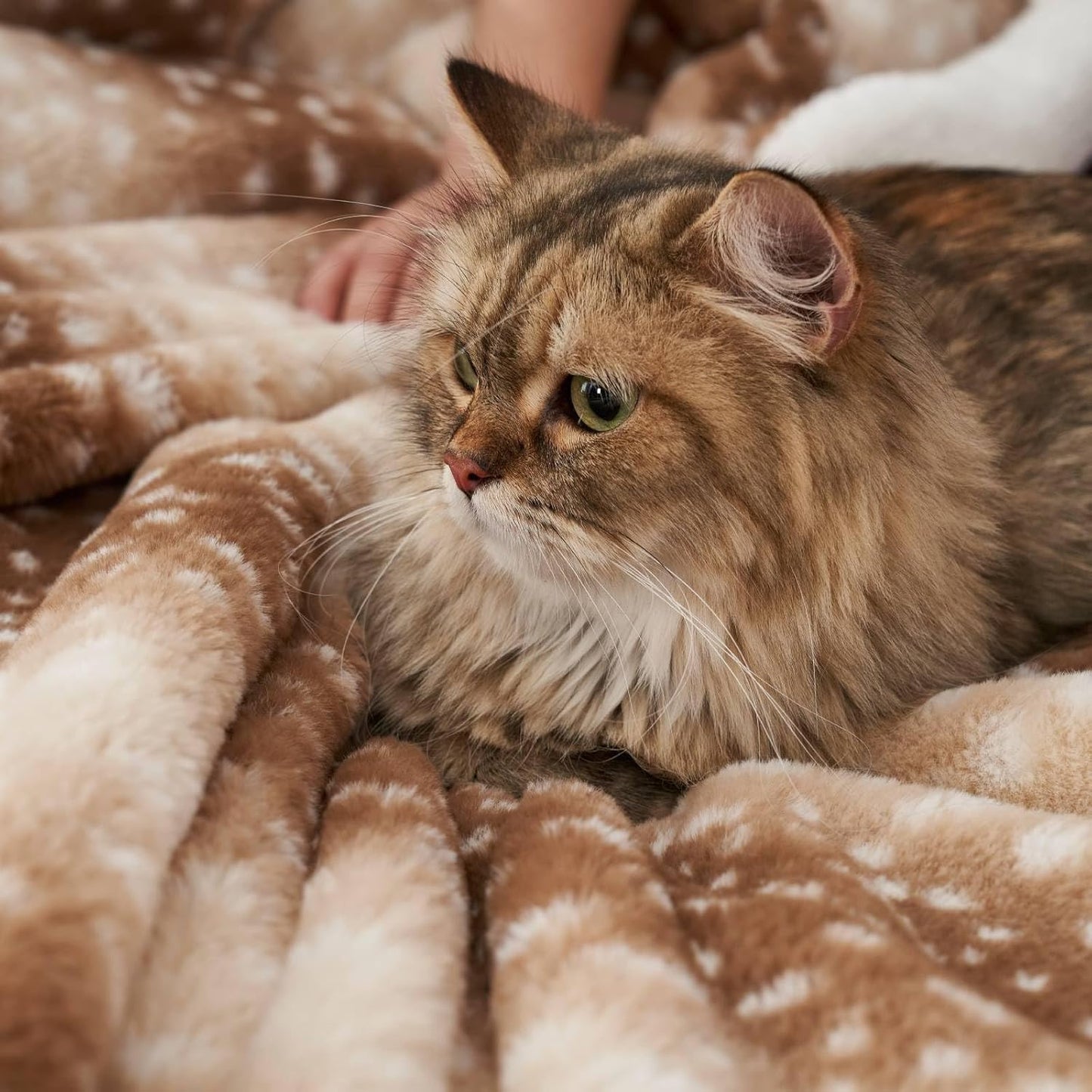 Cozy Bliss Luxury Faux Fur Throw Blanket Animal Striped Print, Non Shedding Double Sided Sherpa Blankets Super Soft Fluffy Thick Warm Throws Home Decor for Couch Bed Sofa Women (Brown, 60x80 Inches)