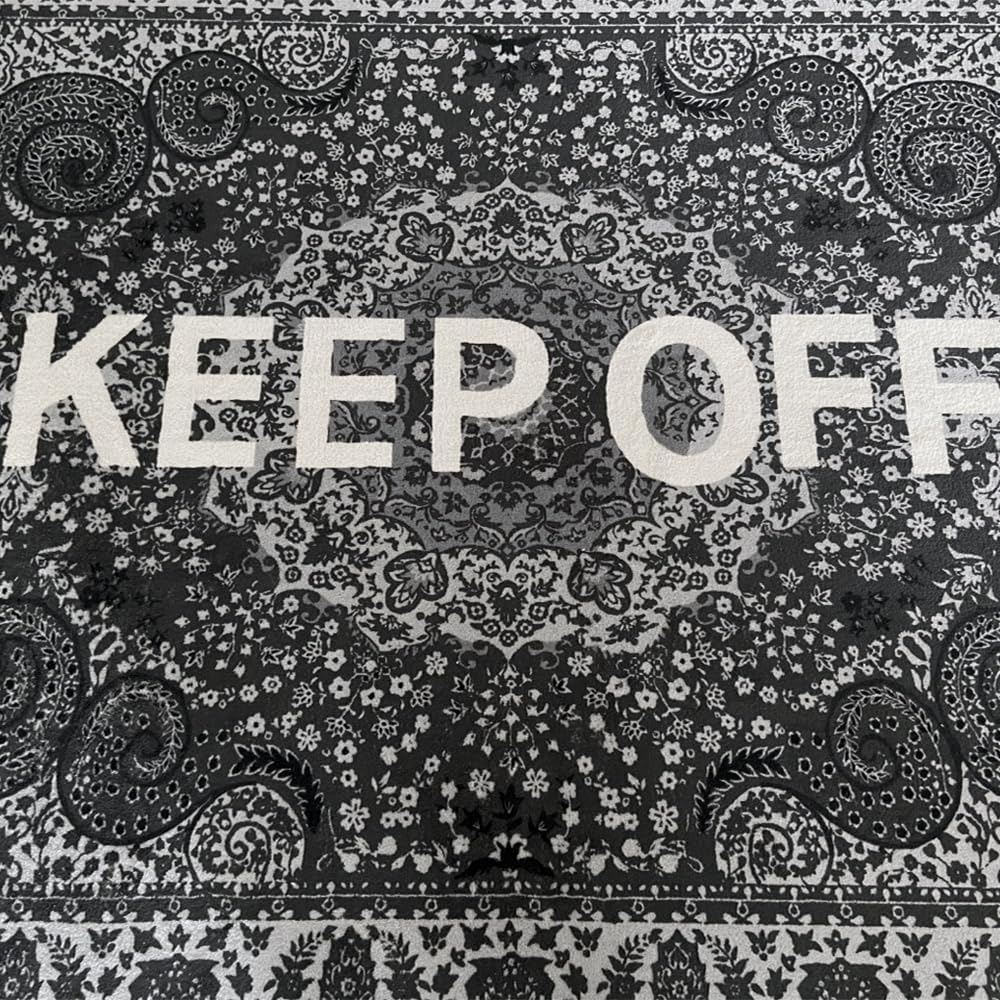KEEP OFF Rug - Cashew Flower Classic Paisley Cashmere Area Rug - Hypebeast Home Decor Carpet - 31.5 * 47in (80 * 120cm) Kitchen Mat/Bedside Mat/Entryway - Artistic Premium Floor Mat