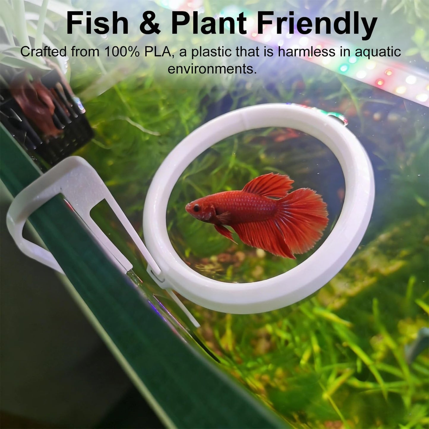 Clip On Fish Feeding Ring, Floating Aquarium Feeder, Non-Shedding Fish Food Holder for Betta Goldfish Guppy Turtle