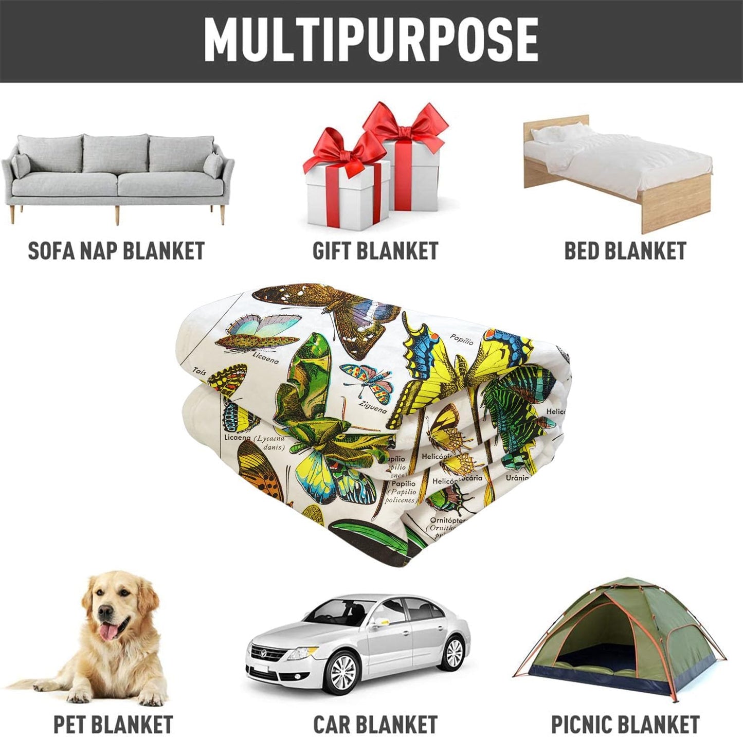 SXCHEN Butterflies Throw Blanket 60" x 80" Plush Blankets for Couch Sofa Bed,Soft Cozy Warm Lightweight Fuzzy Throws with Classic Moths Species Introduction Gift for Gardeners and Entomologists