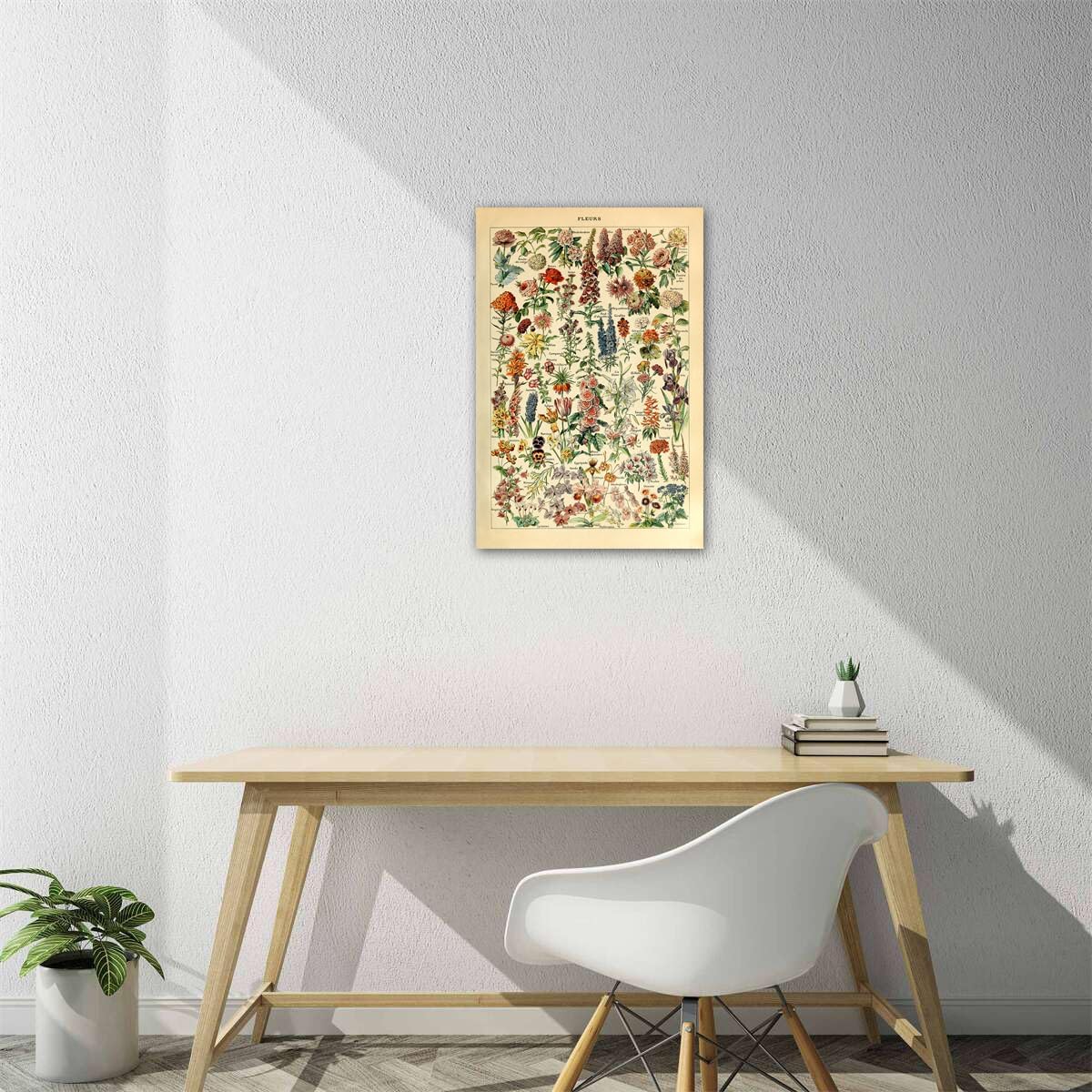 Meishe Art Vintage Poster Print Flower Floral Botanical Collections Garden Flowers and Plants Identification Reference Chart Diagram Home Wall Decor