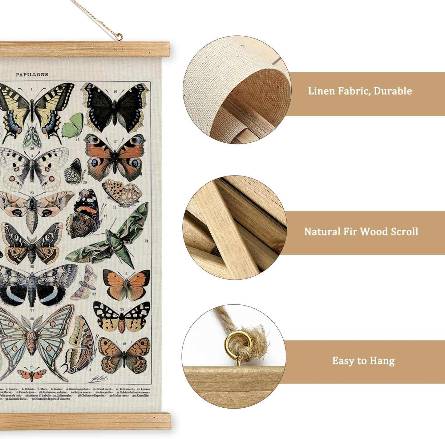 MIDEFINCH Vintage Butterfly Wall Art Poster with Wooden Frame - Natural History Illustration, Papillons Canvas Print, Retro Home Decor for Living Room, Bedroom, Office, 20x30 Inch