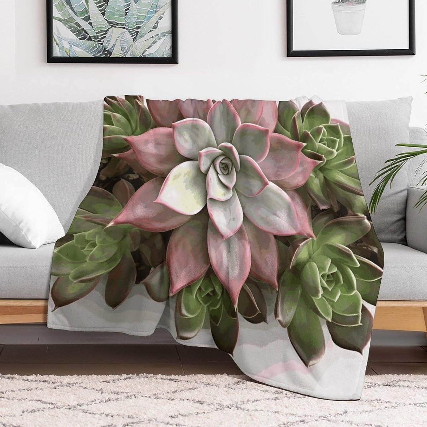 Succulent Botanical Blanket Super Soft Lightweight Throw Blanket Cute Cozy Warm Bed Blanket Decorative Fuzzy Blanket All-Season Home Decor Gift for Sofa Couch Living Room 30"*40"（76 * 100cm）