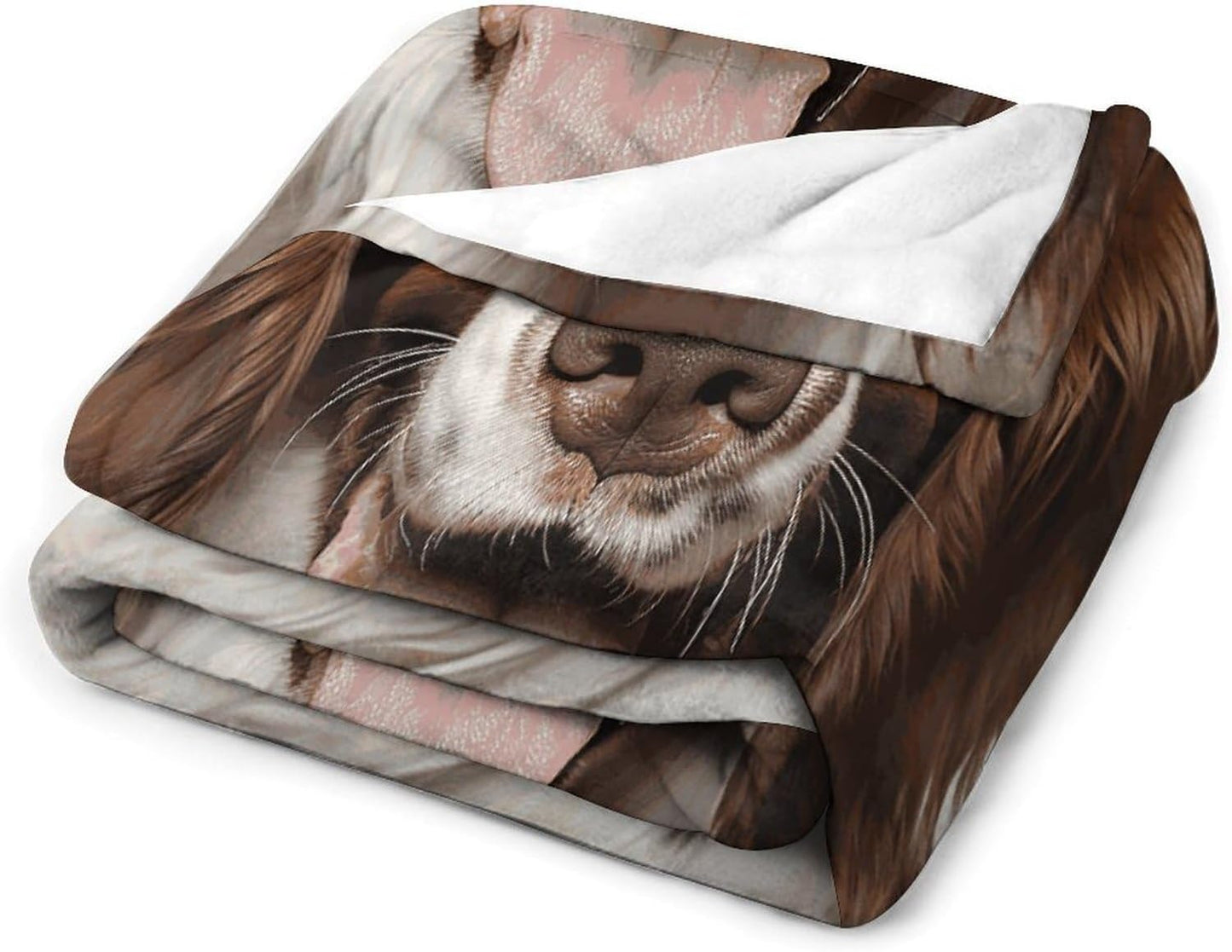Cute Springer Spaniel Throw Blanket for Couch Super Soft Warm Lightweight Throw Blankets Cozy Flannel Bed Blanket Cute Decorative Blankets for All Seasons Home Decor Gift 60"*80"（150 * 200cm）