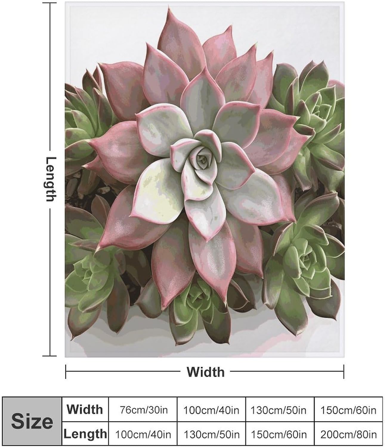 Succulent Botanical Blanket Super Soft Lightweight Throw Blanket Cute Cozy Warm Bed Blanket Decorative Fuzzy Blanket All-Season Home Decor Gift for Sofa Couch Living Room 30"*40"（76 * 100cm）
