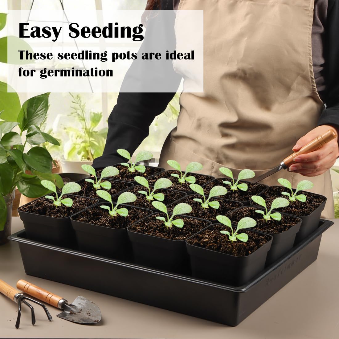 Seed Starter Tray, 5 Packs Plant Tray, Durable Plastic Growing Trays, Stackable Seedling Starter Trays Perfect for Indoor, Outdoor, Greenhouses, 16.5" L x 13.2" W x 2.8" H - Black
