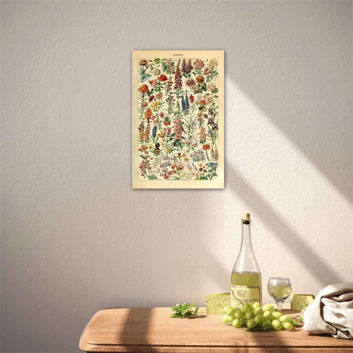 Meishe Art Vintage Poster Print Flower Floral Botanical Collections Garden Flowers and Plants Identification Reference Chart Diagram Home Wall Decor