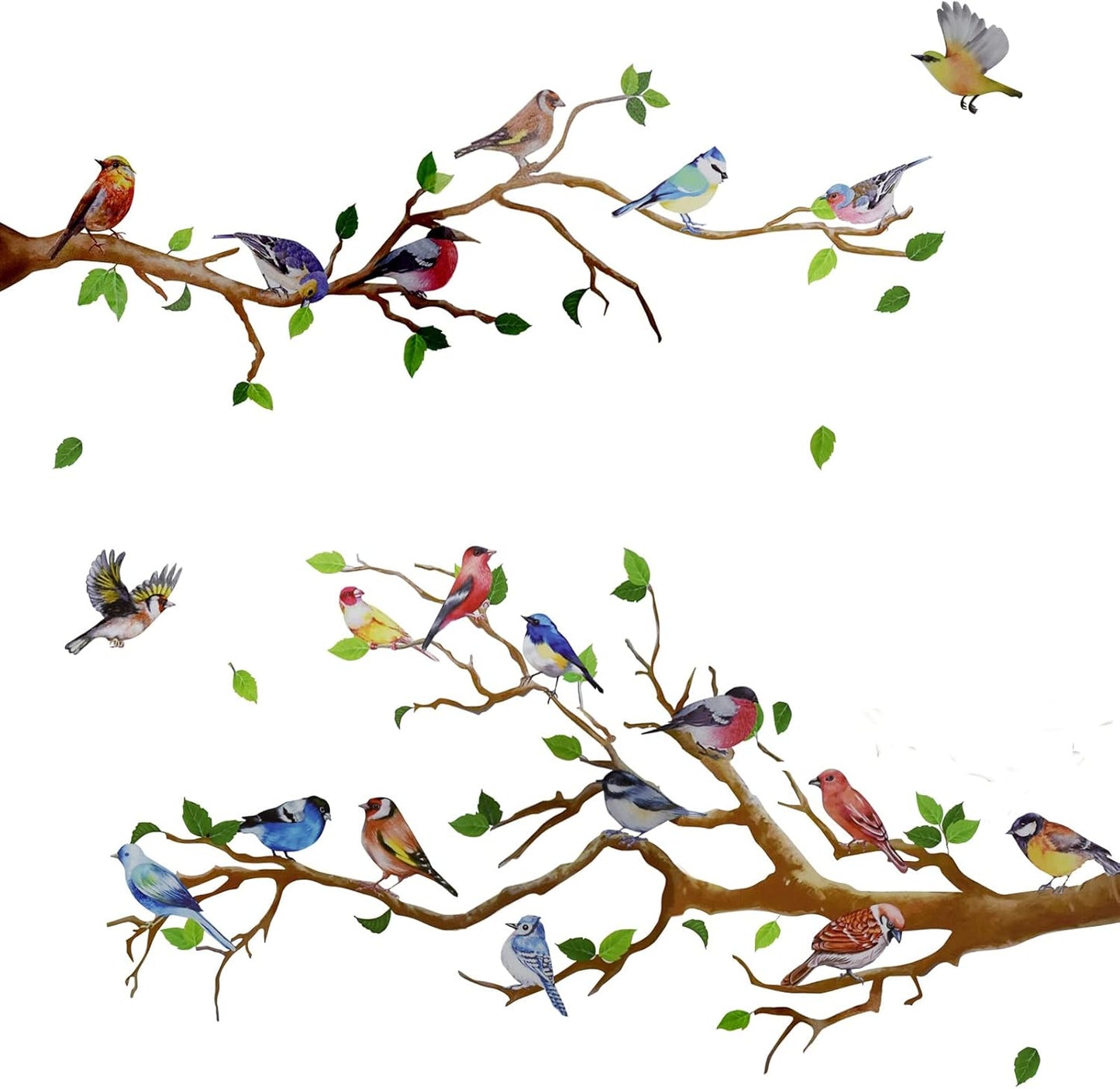 Maydahui Little Birds on Tree Branches Wall Decal Vinyl Wall Sticker (34 x 34 Inch) Removable Peel and Stick Art Murals Decor for Bedroom Offices Classroom Living Room Background