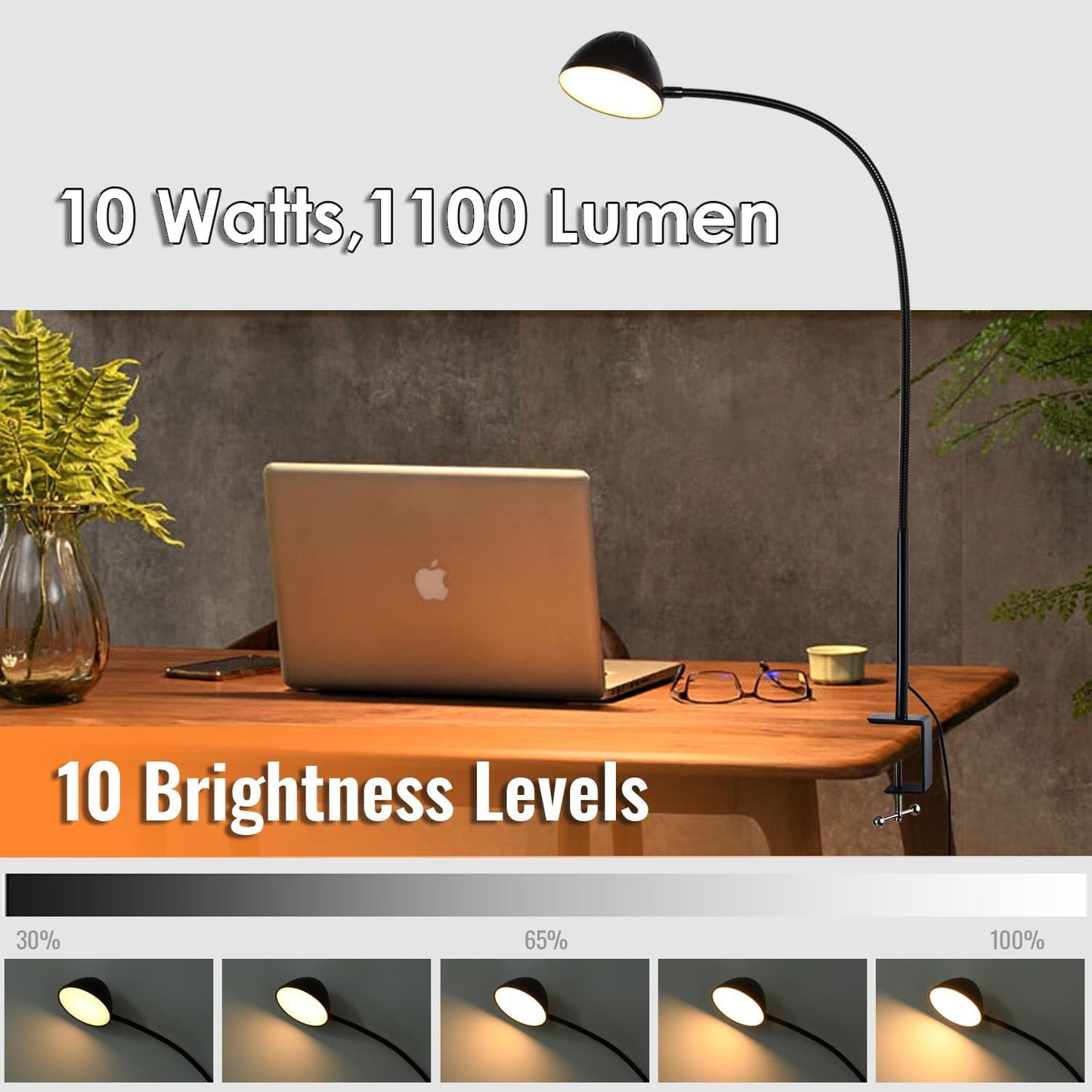 Long Gooseneck Clamp Lamp, Clip Desk Lamp with Clamp, 10W, 1100 LMS, 3 Color Modes, 10 Brightness Levels, 31 Inches Long Flaxible Gooseneck, Perfect for Craft, Reading, Home, Office