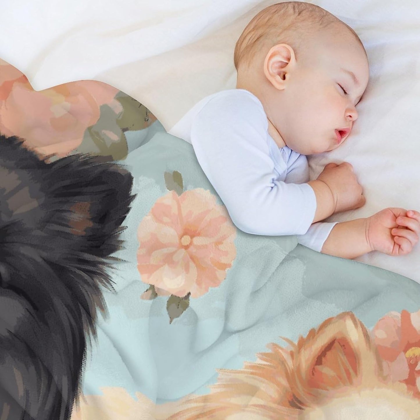 Pomeranians Pattern Blanket Super Soft Lightweight Throw Blanket Cute Cozy Warm Bed Blanket Decorative Fuzzy Blanket All-Season Home Decor Gift for Sofa Couch Living Room 50"*60"（130 * 150cm）
