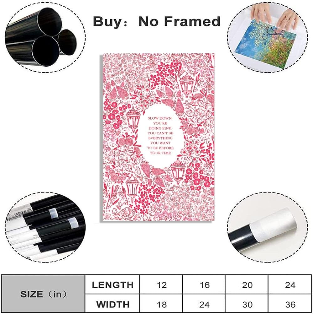 Balsuka Slow Down You're Doing Fine Music Posters Motivational Quote Pink Wall Art Vintage Floral Positive Daily Reminder Song Lyrics Canvas Print Aesthetic Office Home Decor 12x16inch Unframed
