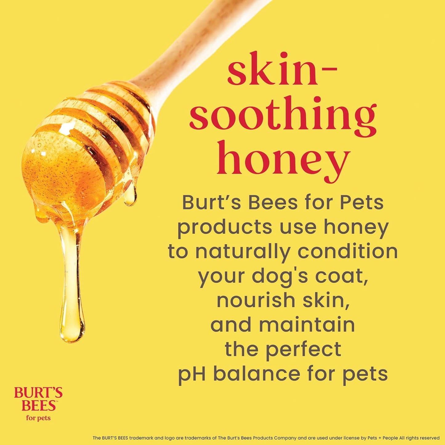 Burt’s Bees for Pets Tear Free Puppy Shampoo & Conditioner with Buttermilk, 2 in 1 Gentle Dog Shampoo for Puppies, Cleans and Conditions Sensitive Skin, 16 Fl Oz
