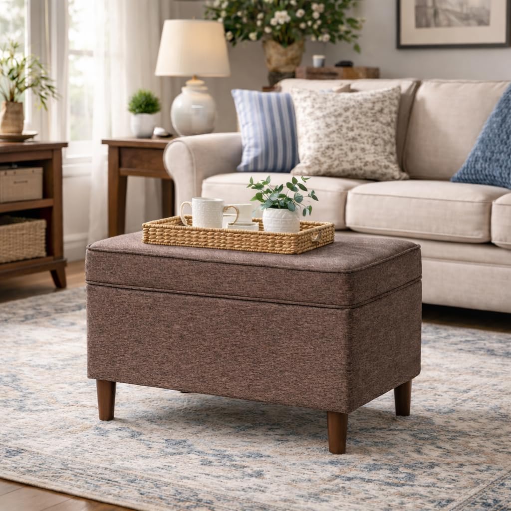 HomePop Home Decor | Dinah Collection Modern Storage Ottoman | Ottoman with Storage for Living Room & Bedroom (Chocalate Brown)