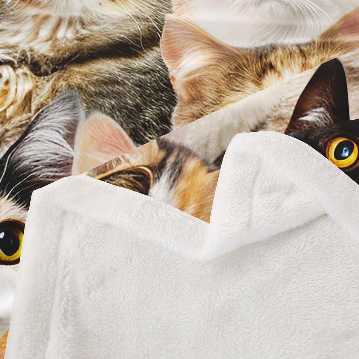 Cat Plush Blanket Cute Kitten Pet Fleece Throw Blanket Lovely Funny Cats Animal Pattern Sherpa Blanket for Bed Sofa Couch Microfiber Toddler Kawaii Fuzzy Blanket Room Decor Twin 60"x80"