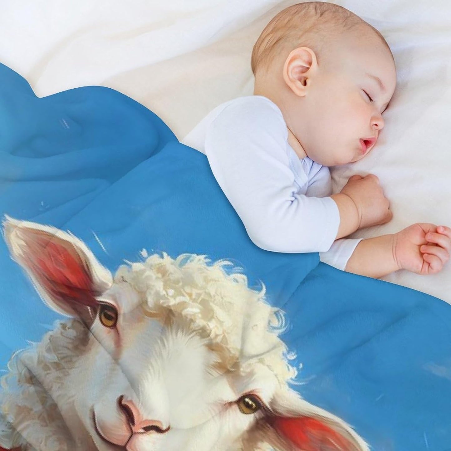 Sheep on A Grassy Field Throw Blanket for Couch Bed Plush Cozy Fuzzy Flannel Blanket for All Season 66"x90"