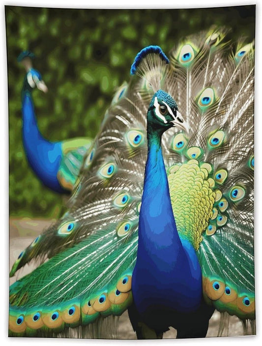 FodPand Beautiful Peacock Tapestry Anti-fading Wall Tapestry with Installation Kit Backdrop Banner Multipurpose Aesthetic Tapestries Boho Wall Art Hanging Decorative Blanket 60"x80"