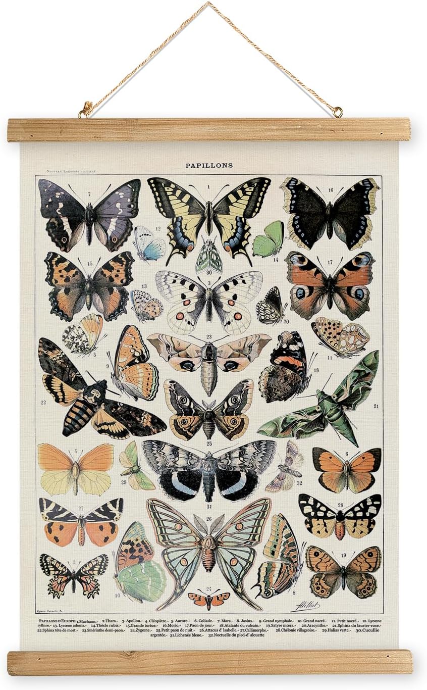 MIDEFINCH Vintage Butterfly Wall Art Poster with Wooden Frame - Natural History Illustration, Papillons Canvas Print, Retro Home Decor for Living Room, Bedroom, Office, 20x30 Inch