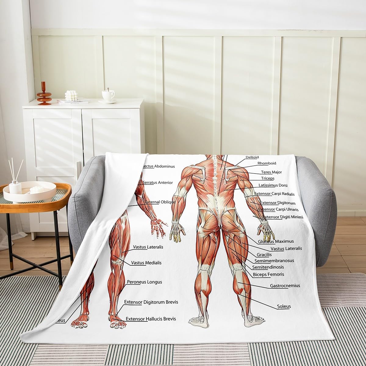 Human Anatomy Fuzzy Blanket Complete Diagram Different Organs Flannel Fleece Throw Blanket for Sofa Couch Kids Body Structure Cell Life Diagram All Season Bed Blanket White Plush Blanket Queen 90"x90"