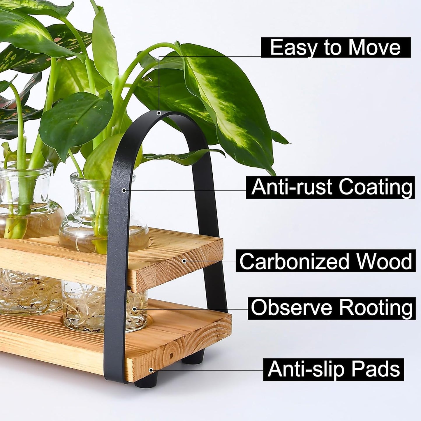 Plant Propagation Station with Wood Stand, Desktop Terrarium for Hydroponic, Flower Vase for Home, Kitchen, Office Decor, Plants Lover Gifts