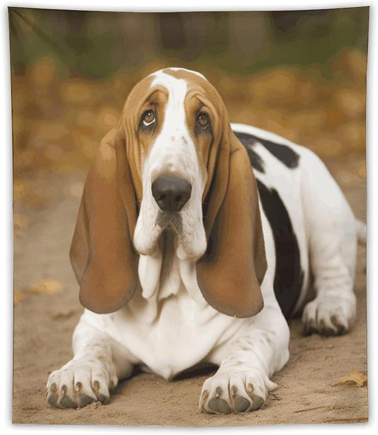 FodPand Basset Hound Tapestry Anti-fading Wall Tapestry with Installation Kit Backdrop Banner Multipurpose Aesthetic Tapestries Boho Wall Art Hanging Decorative Blanket 50"x60"