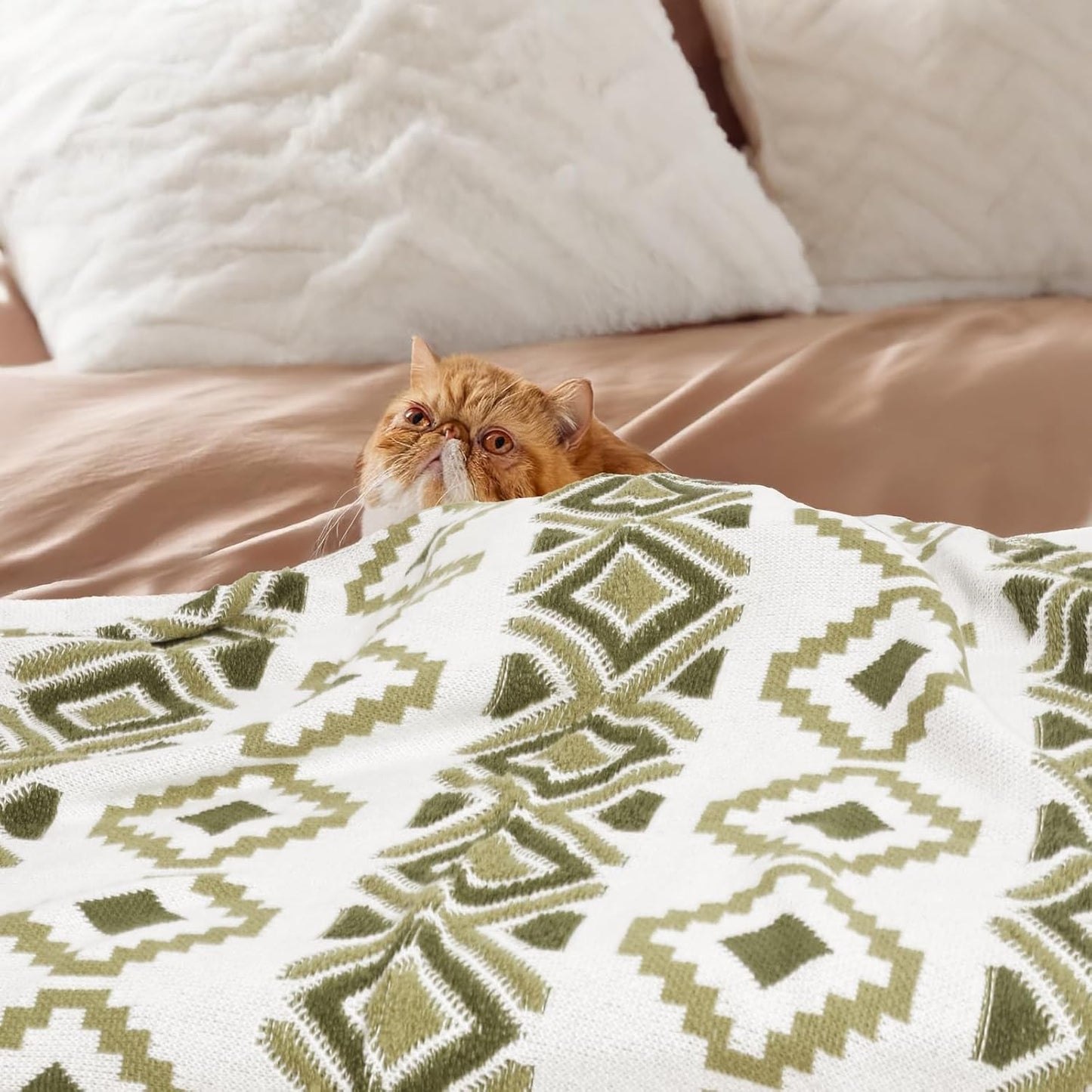 Boho Knit Throw Blanket – 51"x67" Cozy & Lightweight (2.09lb) ，Southwestern，Tassel， Perfect for Sofa, Camping & WFH ，Stylish Home Decor, Machine Washable & Gift (Green, Embroidery)