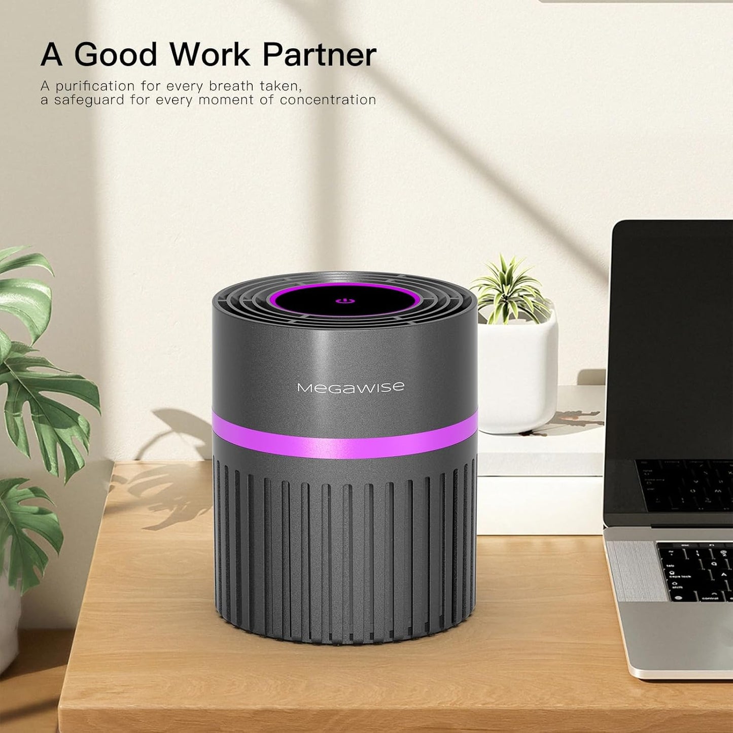 MEGAWISE Air Purifier for Home Bedroom Small Room Office, 3-IN-1 Filtration Air Cleaner for Smoke, Dust, Pet Dander, 100% Ozone Free, Available for California