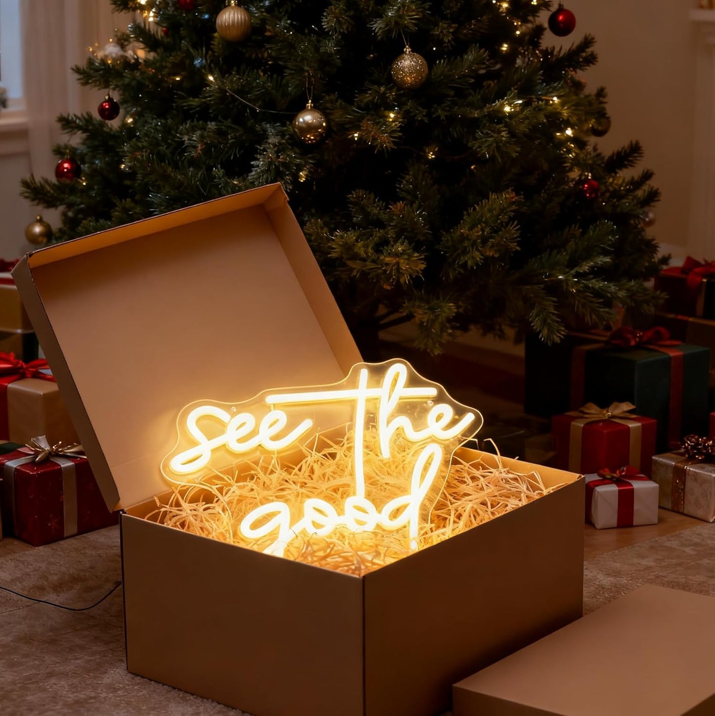 See the Good Neon Sign, Inspirational Quote White LED Neon Light, USB Powered Decorative Light for Home Bedroom Living Room Office Wall Table Decor 9.1 x 16.9 In