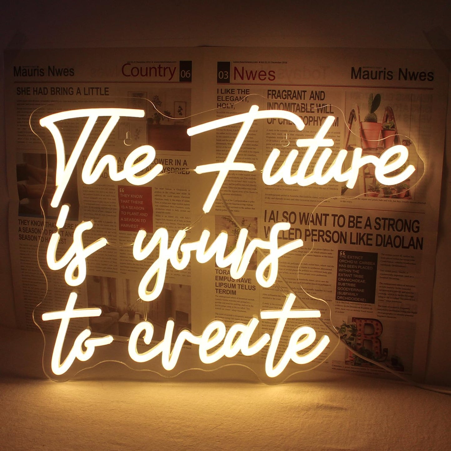 Horseneon The Future is Yours to Create Neon Led Sign, Letters Neon Signs for Wall Decor, Warm White Classroom Neon Light Sign with USB Powered for Classroom Bedroom, Windows, Living Room, Office, Children's Room