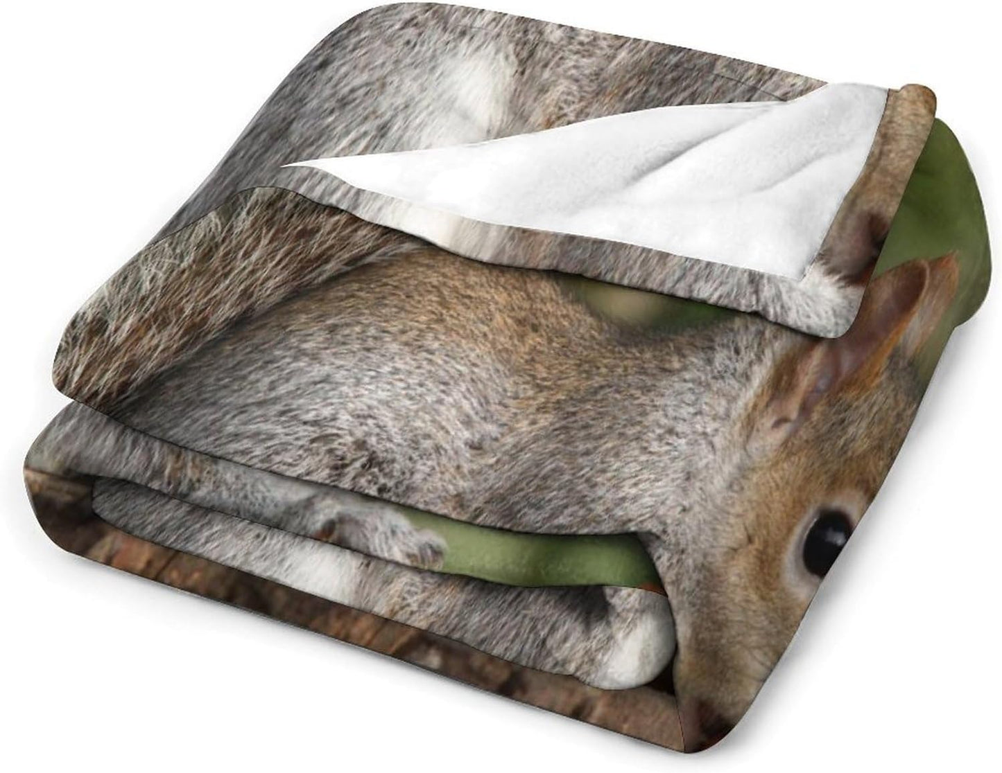 Squirrel Throw Blanket for Couch Super Soft Warm Lightweight Throw Blankets Cozy Flannel Bed Blanket Cute Decorative Blankets for All Seasons Home Decor Gift 60"*80"（150 * 200cm）