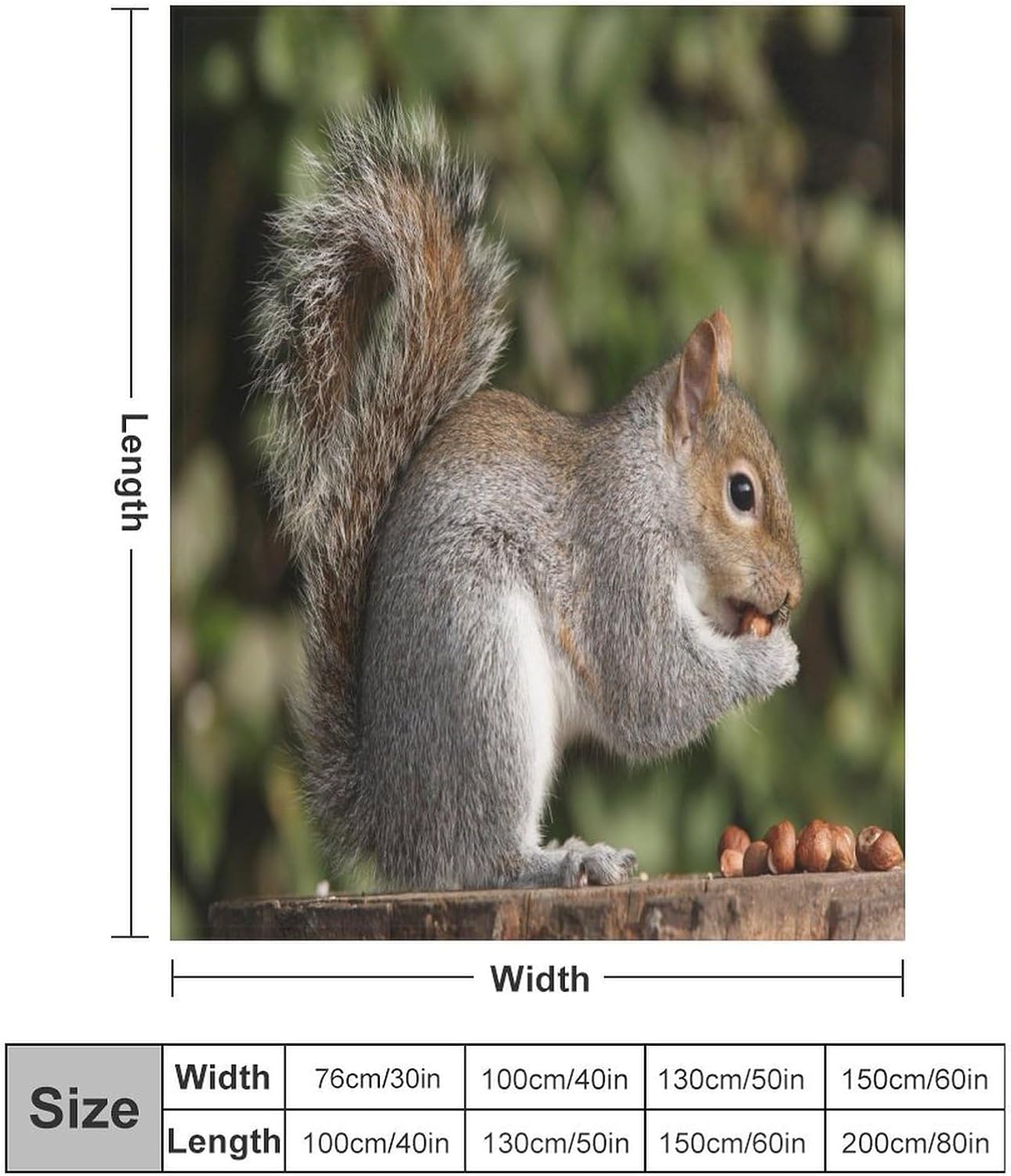 Squirrel Throw Blanket for Couch Super Soft Warm Lightweight Throw Blankets Cozy Flannel Bed Blanket Cute Decorative Blankets for All Seasons Home Decor Gift 60"*80"（150 * 200cm）