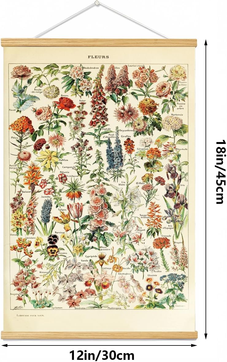 Vintage Flowers Poster Hanger Frame, Plant Floral Reference Chart Wall Decor Cottagecore Room Decor Aesthetic, Retro Style Wall Decor Art Painting Prints. (plant D, 18L x 12W)