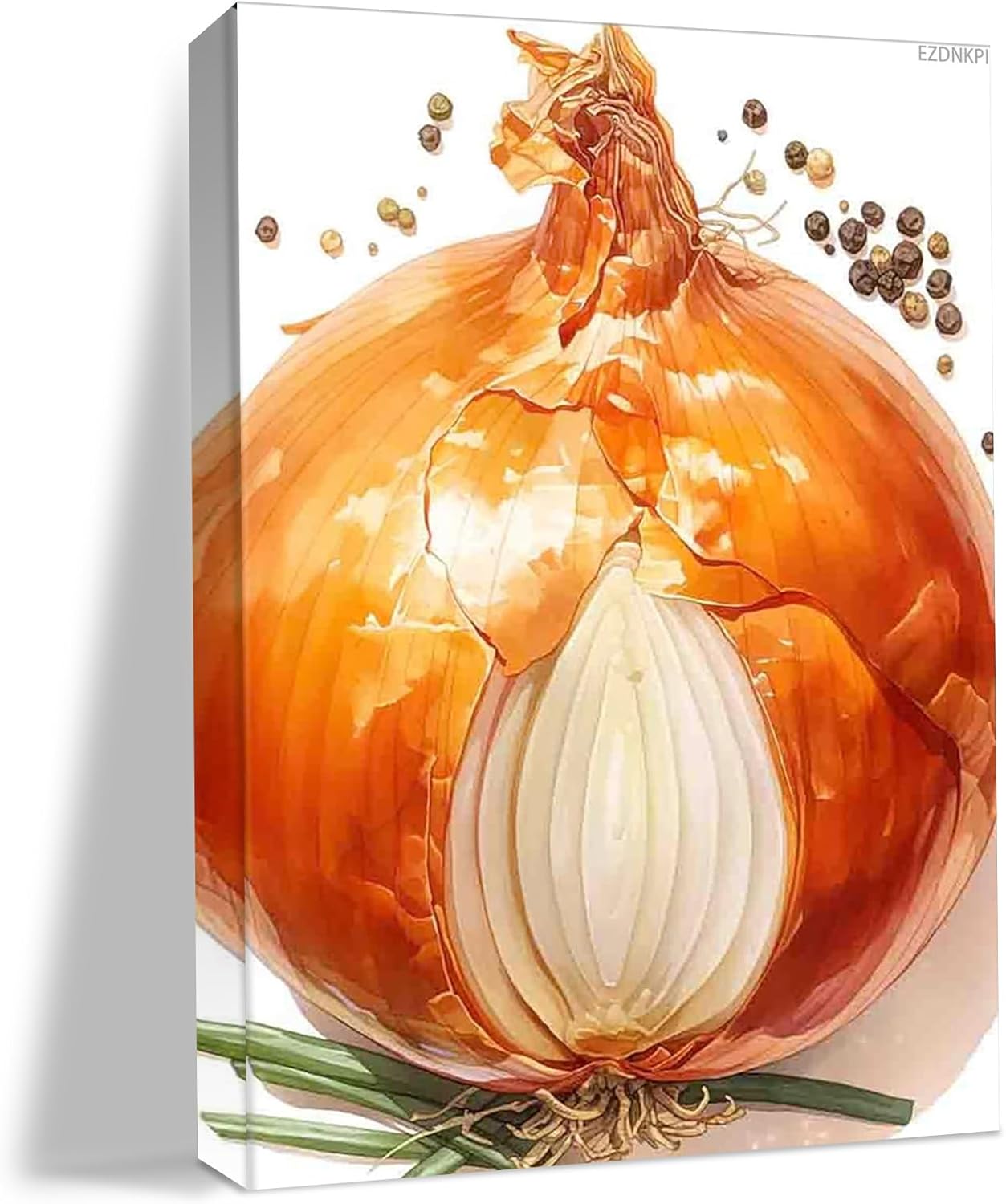 EZDNKPI Onion Watercolor Print Vegetable Art, Botanical Prints Poster Wall Decor, Office Canvas Art for Home Bedroom Living Room Wall Decor Easy to Hang 8x12 Canvas Print with Frame