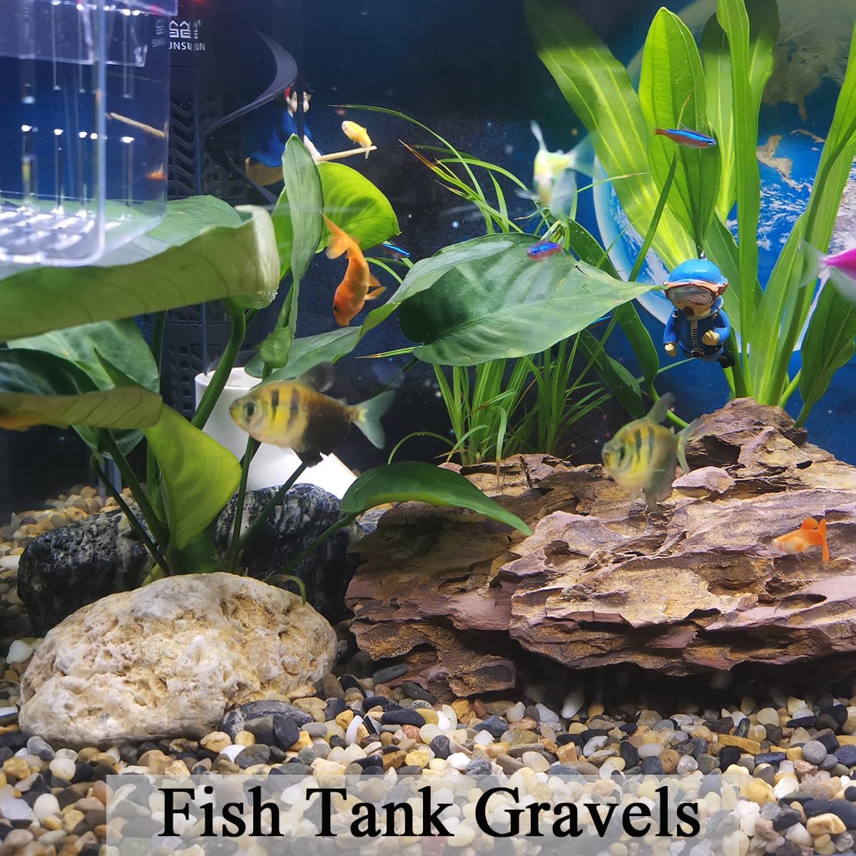 5 lbs Aquarium Gravel, Pea Gravel for Fish Tank,1/4 Inch Decorative River Rocks for Aquarium Succulent Vase Plant Soil Cover and Outdoor Landscaping