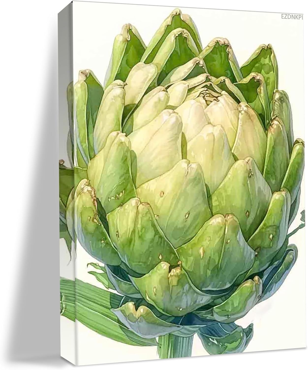 Artichoke Food Kitchen Watercolors Painting, Kitchen Wall Art, Cooking Print, Food Painting, Restaurant Decor for Home Bedroom Living Room Wall Decor Easy to Hang 8x12inch Canvas Print with Frame