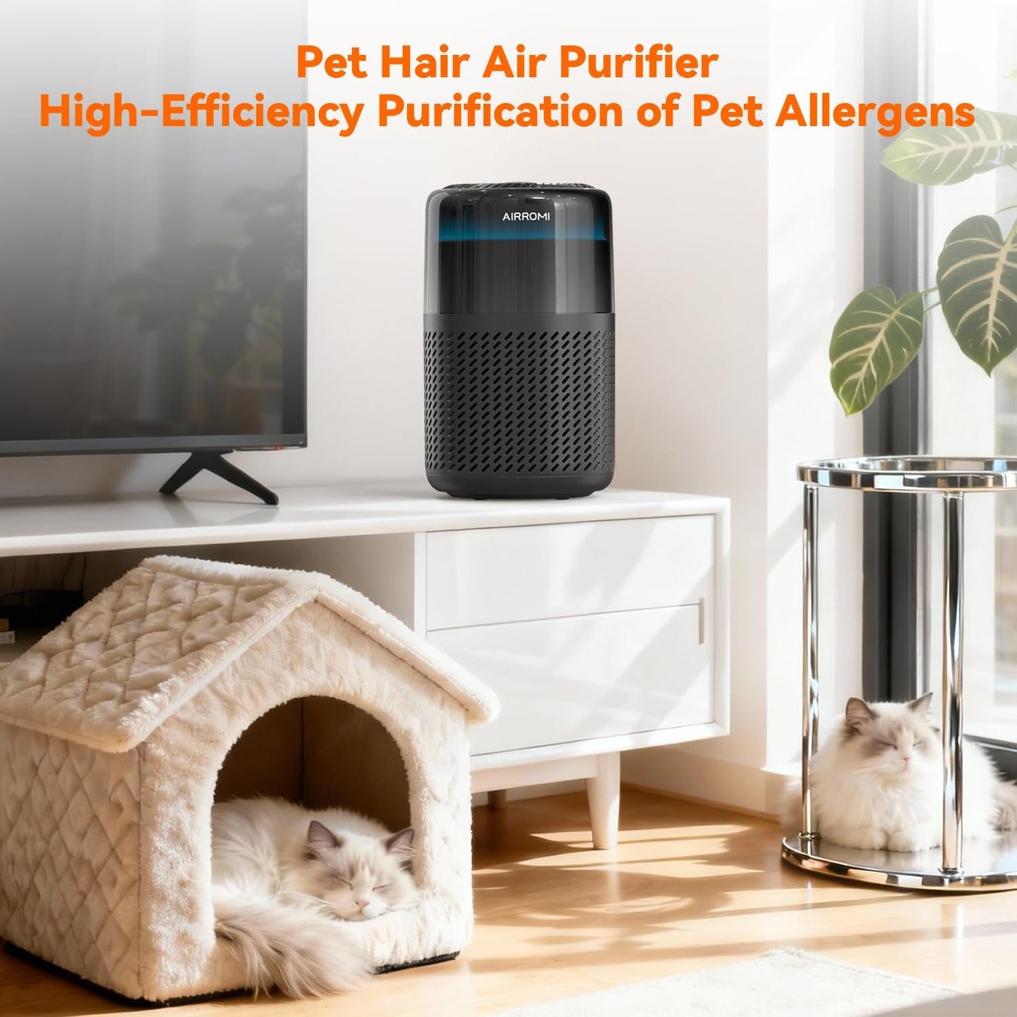 AIRROMI HEPA Air Purifier for Bedroom&Home,Pet Air Purifier for Home Pets,Removes Pet Odor,Cat Litter Smell,Dust,Smoke&Allergies,Quiet Room Air Purifier with Scents,360°Air Cleaner,A2005 Black